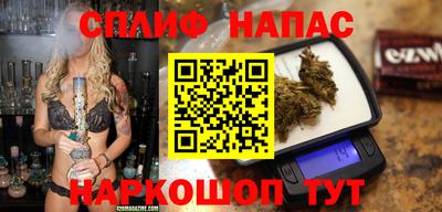 spice Гагарин
