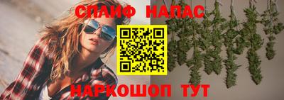 spice Гагарин